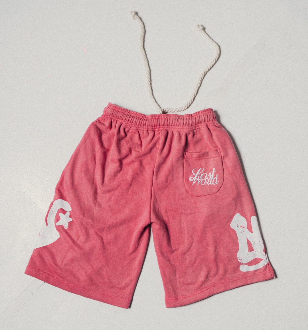 LOST CRETE SHORTS PINK